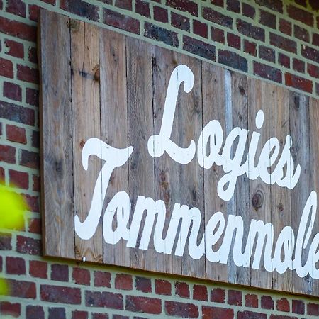 Logies Tommenmolen Διαμέρισμα Grimbergen Εξωτερικό φωτογραφία