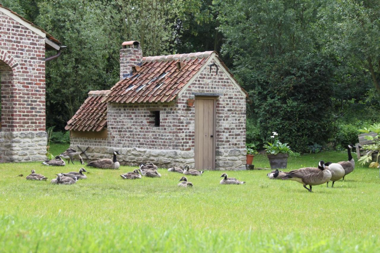 Logies Tommenmolen Διαμέρισμα Grimbergen Εξωτερικό φωτογραφία